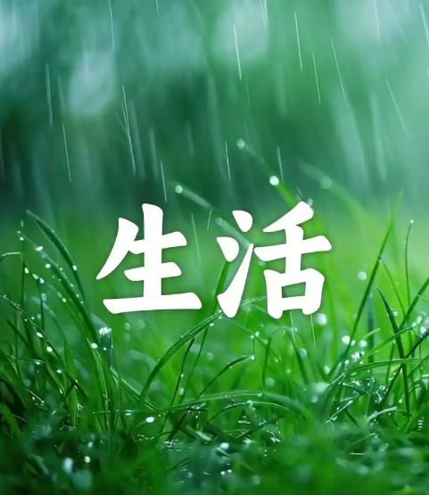 商户在遭遇收钱吧提现障碍及账户被锁时,应理智分析冻结因素,积极准备解冻资料