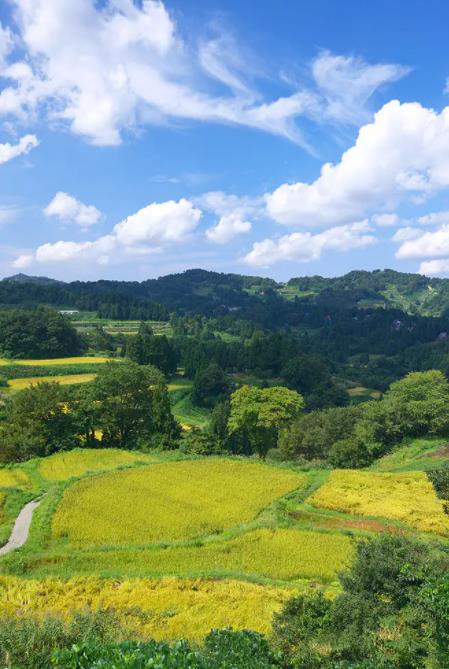 企业微信商户提现冻结要怎么才能恢复呢？