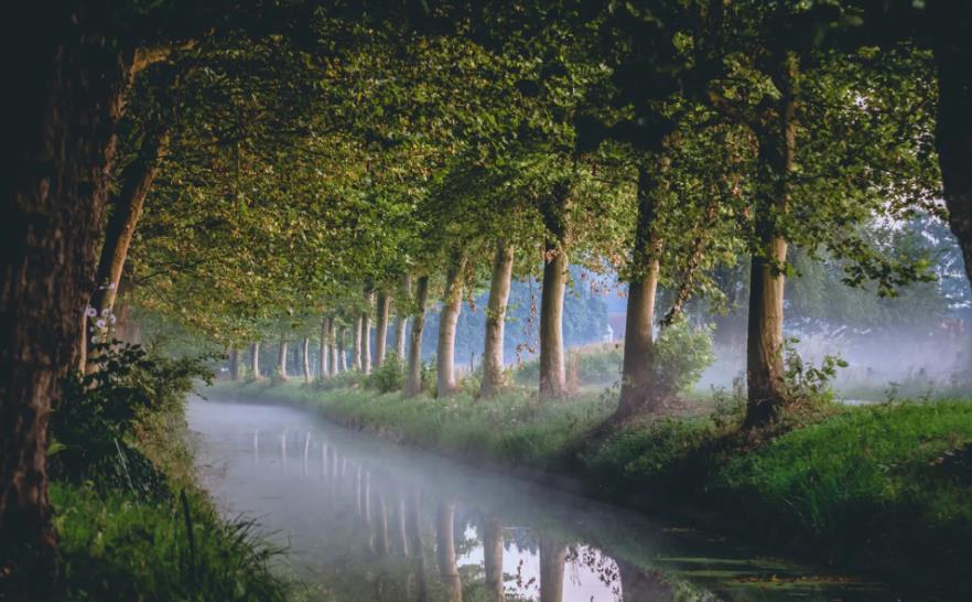 京东收银资金冻结申诉最快多久能解冻？