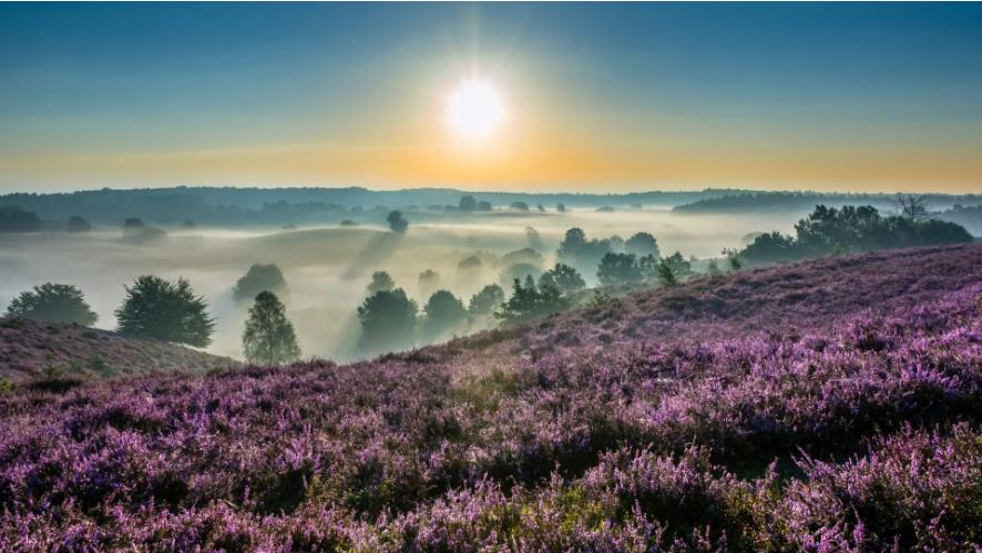 乐刷付呗暂缓结算与资金冻结解决方案