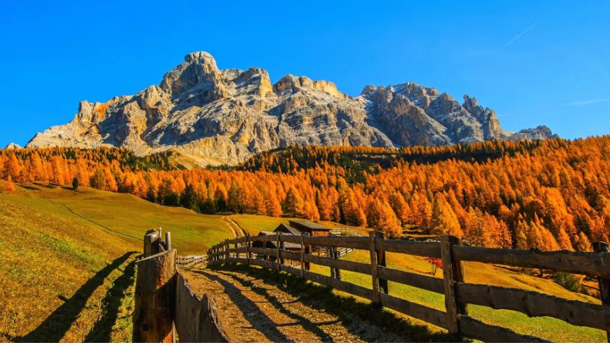 一码聚付资金冻结怎么办？商户申诉成功案例分享