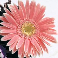 QQ钱包冻结2年了还是提现不了要怎么申诉呢？