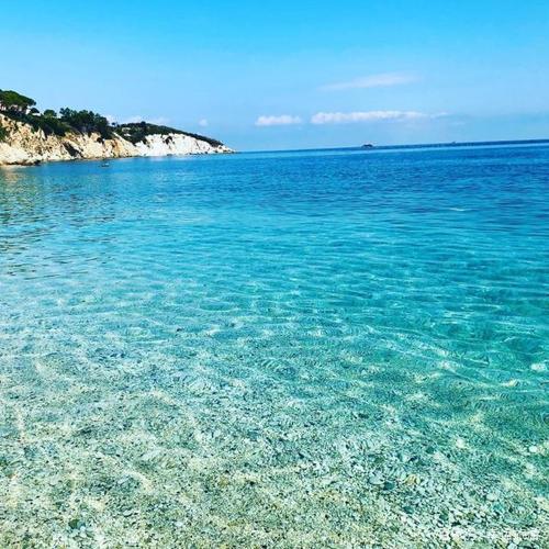 收单宝支付异常应对策略大公开，提现权限快速恢复