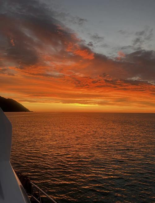 京东京麦商户店铺异常里面货款提现不了要怎么申诉呢？