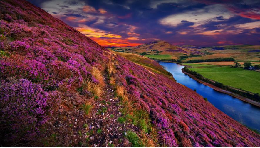 小利掌柜合利宝资金到账异常如何解决？