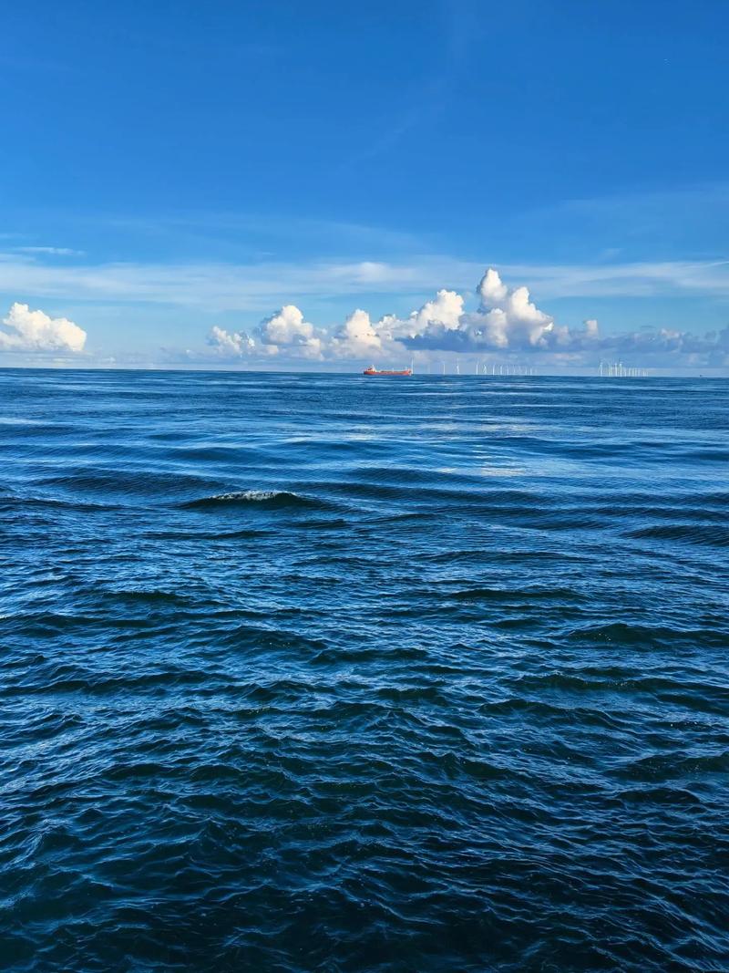 商户资金流动无忧：京东京麦资金冻结原因及解决要点