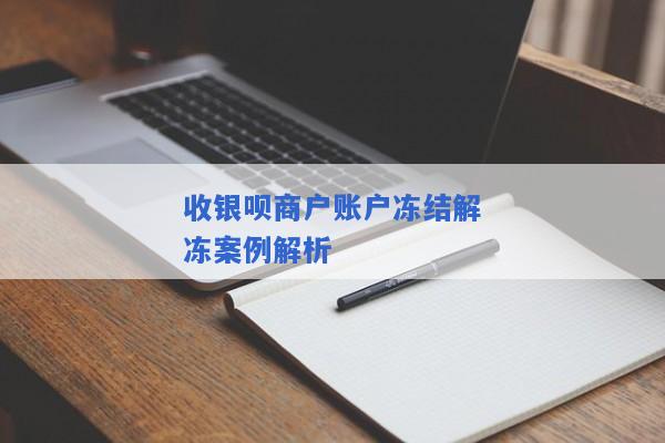 收银呗商户账户冻结解冻案例解析