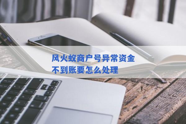 风火蚁商户号异常资金不到账要怎么处理